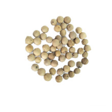 Wholesale White Pepper Grain Best Price